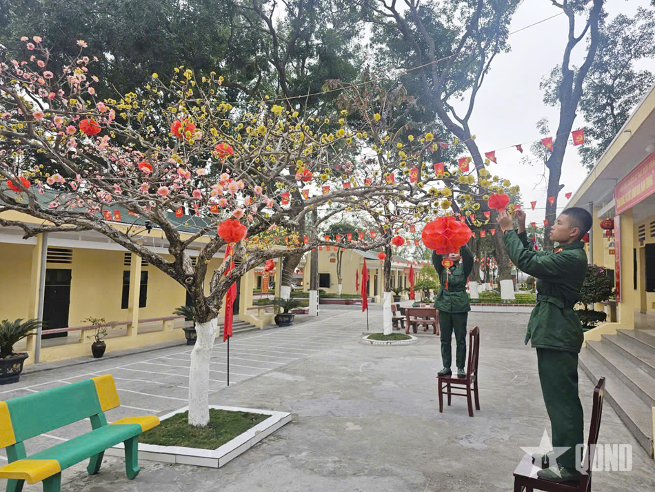 Bộ đội Sư đoàn 395, Quân khu 3 háo hức đón xuân